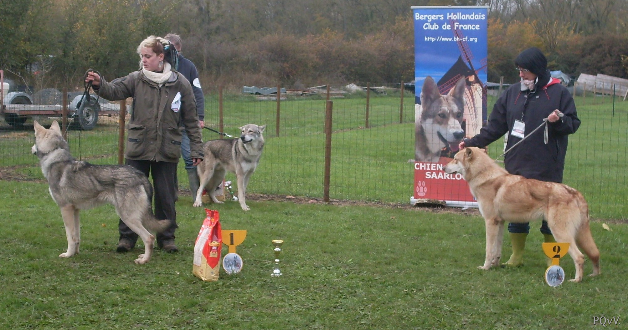 classe intermediaire males : Greywolf Gevaudan et Ghinzu Gaaram 